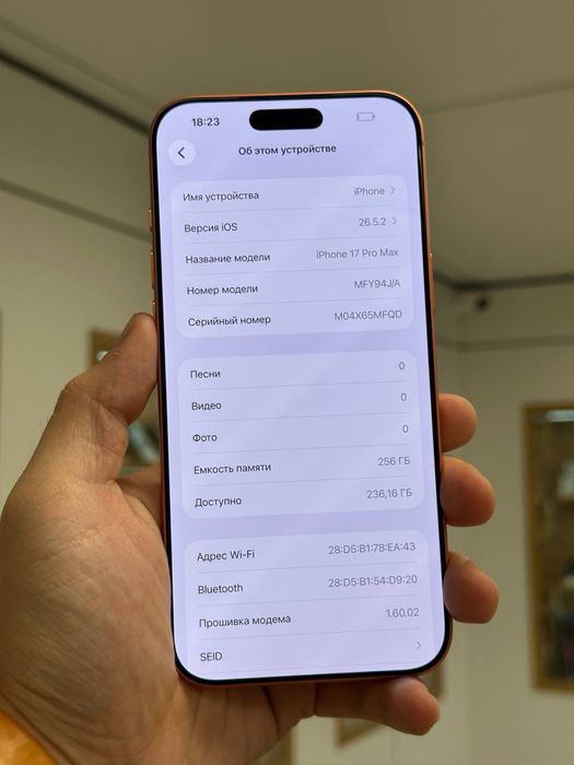 iPhone 17 Pro Max | 256 GB