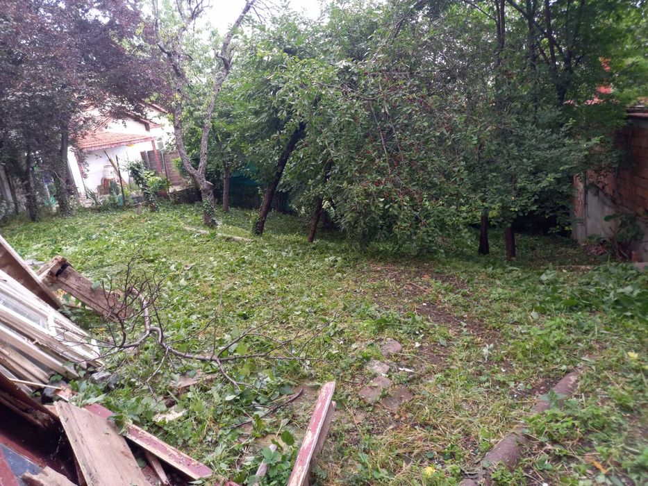 Косене ,почистване и поддържане на дворове ,лозя,ливади ,райгас