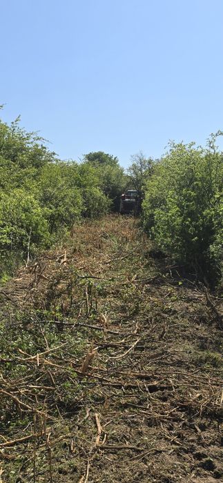 Închiriez utilaje Curățire terenuri de ambrozie,  vegetație