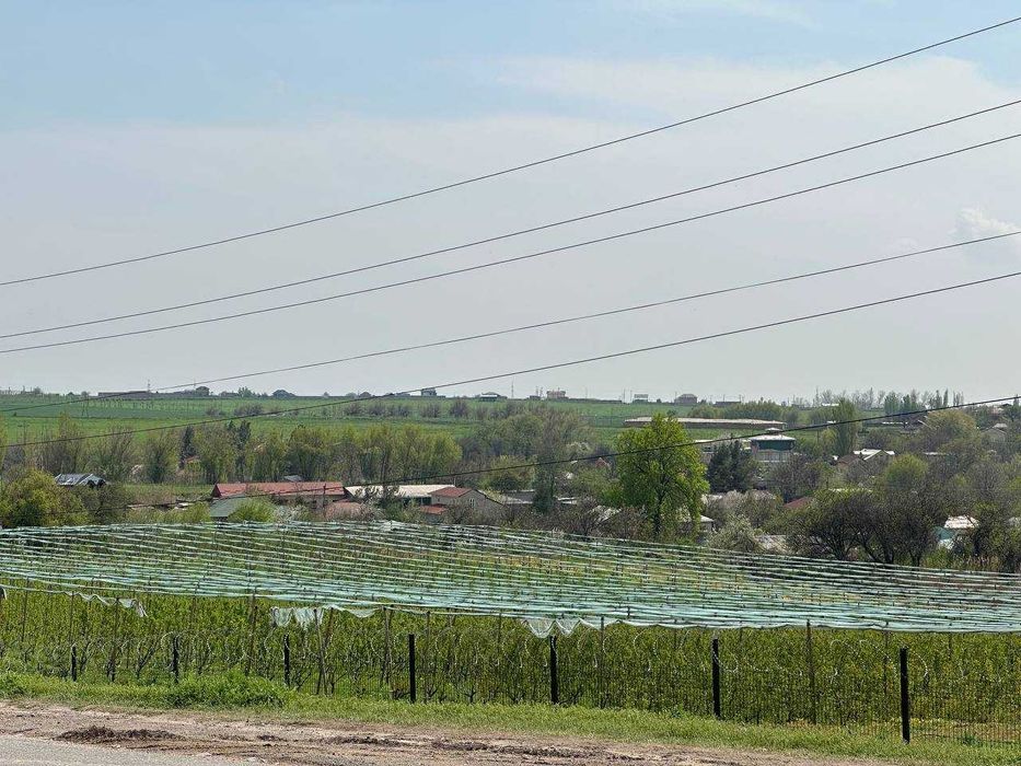 Продается своя дача в поселке Майский (Зафаработ)
