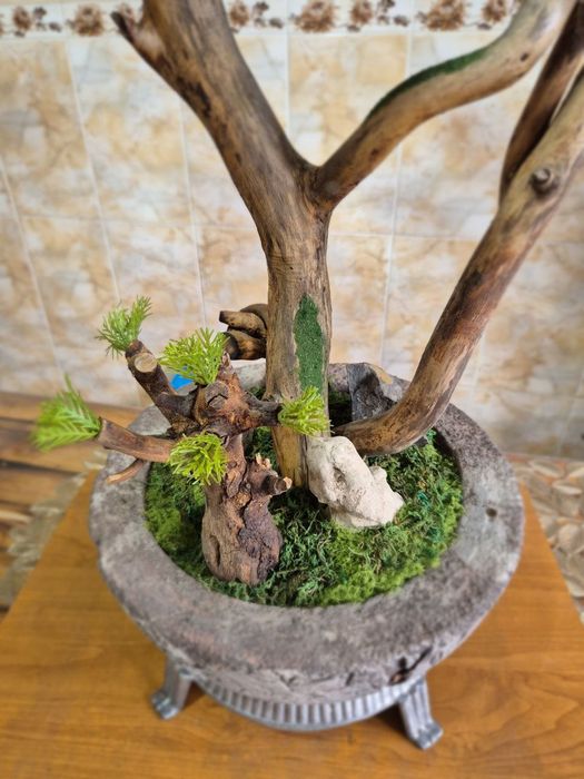 Бонсай ручная работа