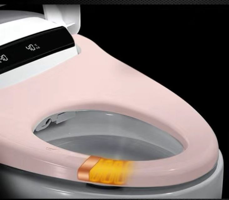 Унитаз с подогревом и мойка биде