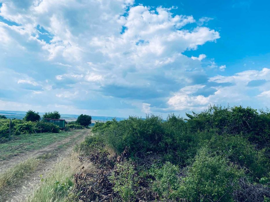 Продава се Земеделски имот в Варна, Възраждане 1 -  кв.м за 30 €/дка - Снимка #3