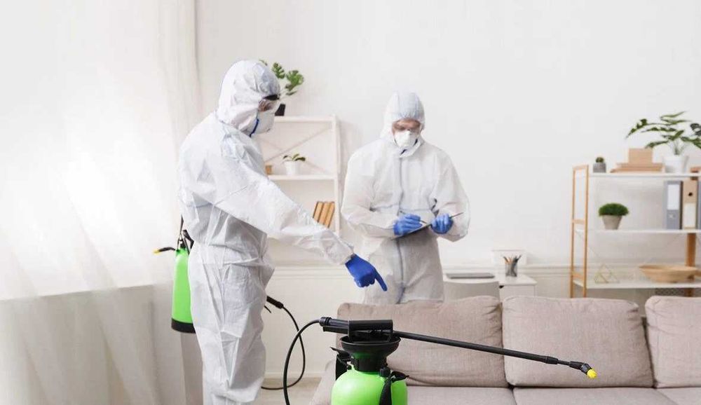 dezinfeksiya tashkent dezinfeksiya klapa дезинфекция клопов уничтожени