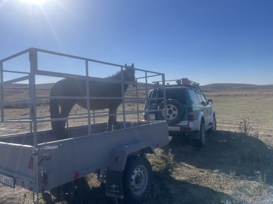 Продам прицеп с документтом