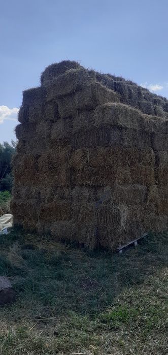 Vând baloti de paie