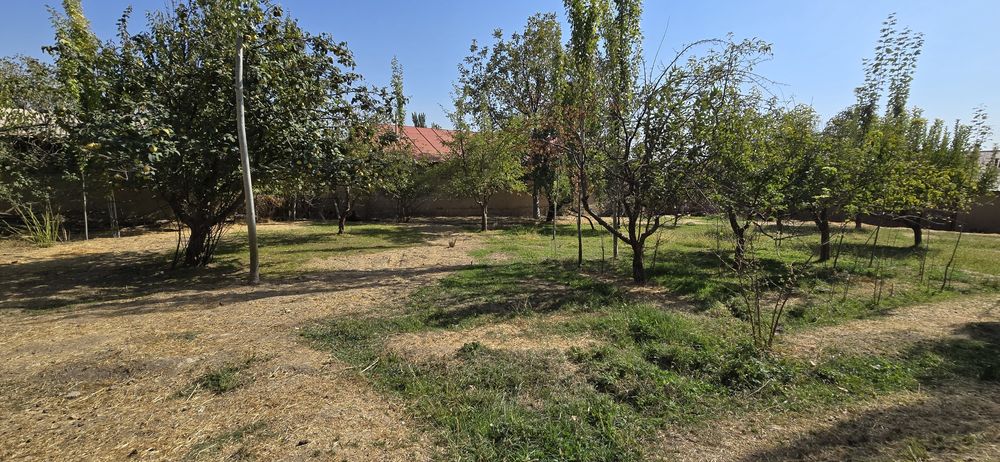 Продам 12 сот Земля для Дача Октош Сойлик Кфй Орен-т Янги Чойхона 500м