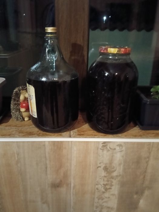 Sirop muguri brad 1 litru