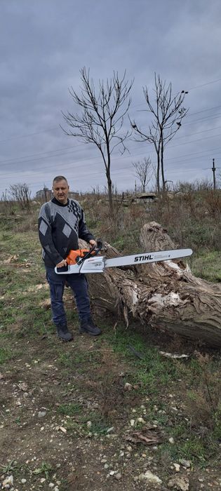 Tuns (toaletare) pomi