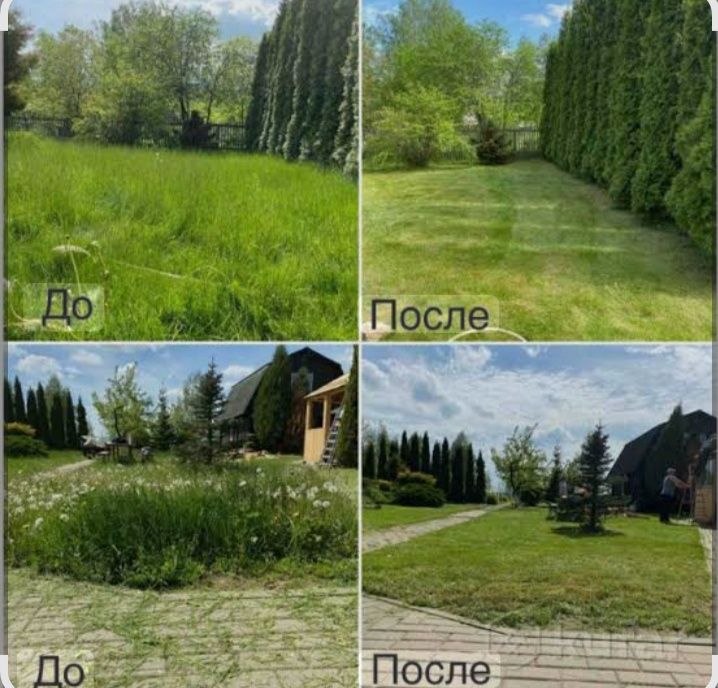 Шөп шабамыз. Покос травы