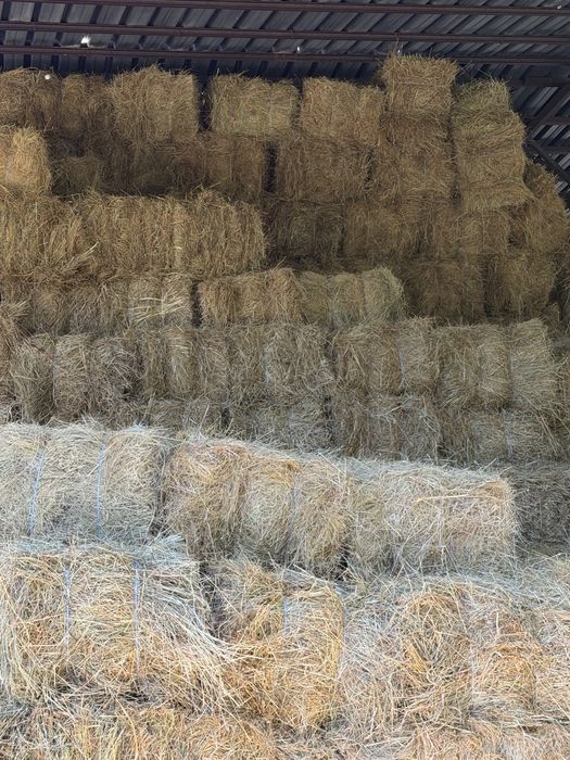 Продавама бали ливадно сено и овесена слама