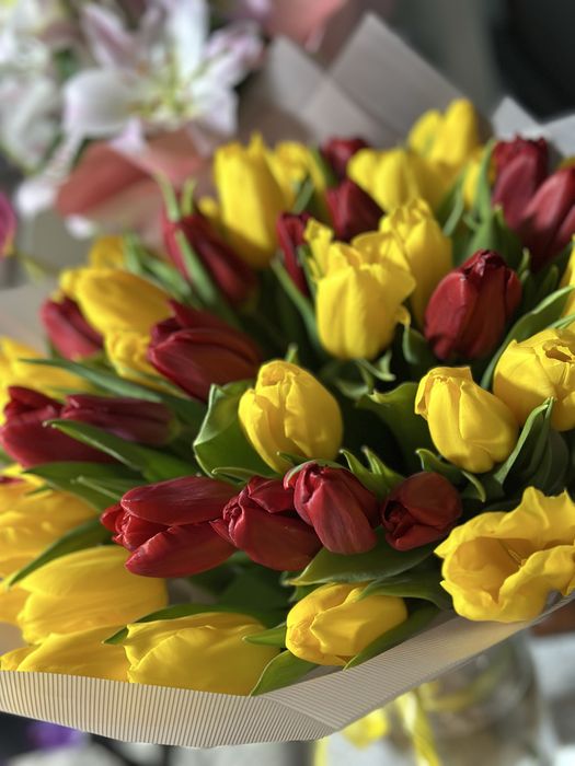 Цветы тюльпаны, 51 штука, только что дарили, свежие