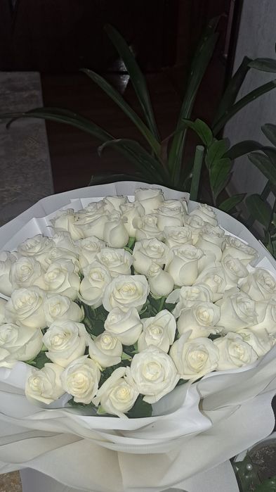 51 штук. Роза.  .