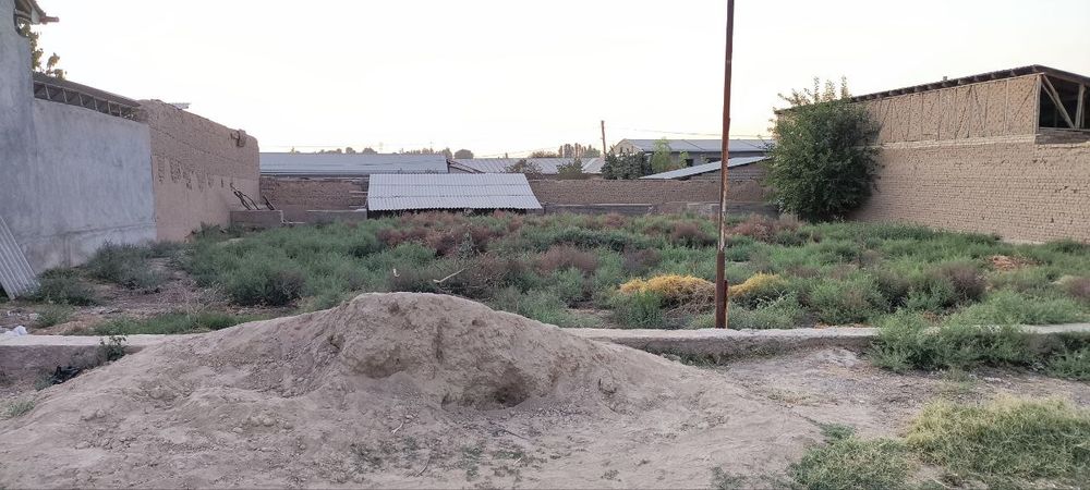 Назарбек тарнов бешкорганда йер