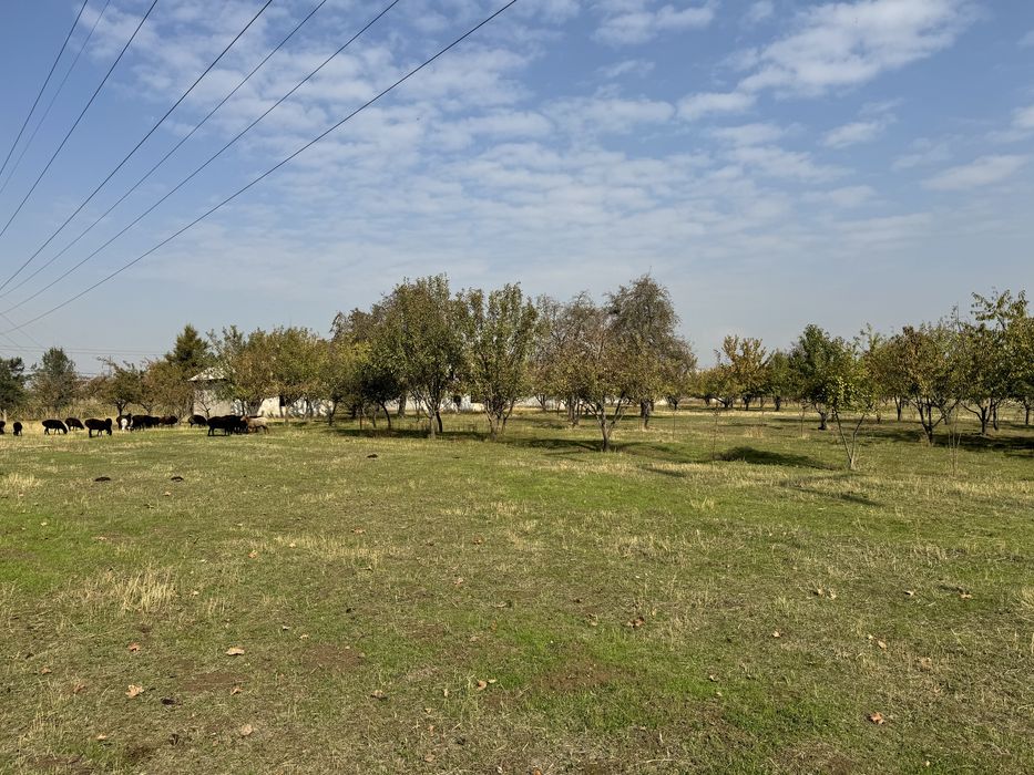 Продается земля в г.Ахангаран под производство 10 гек