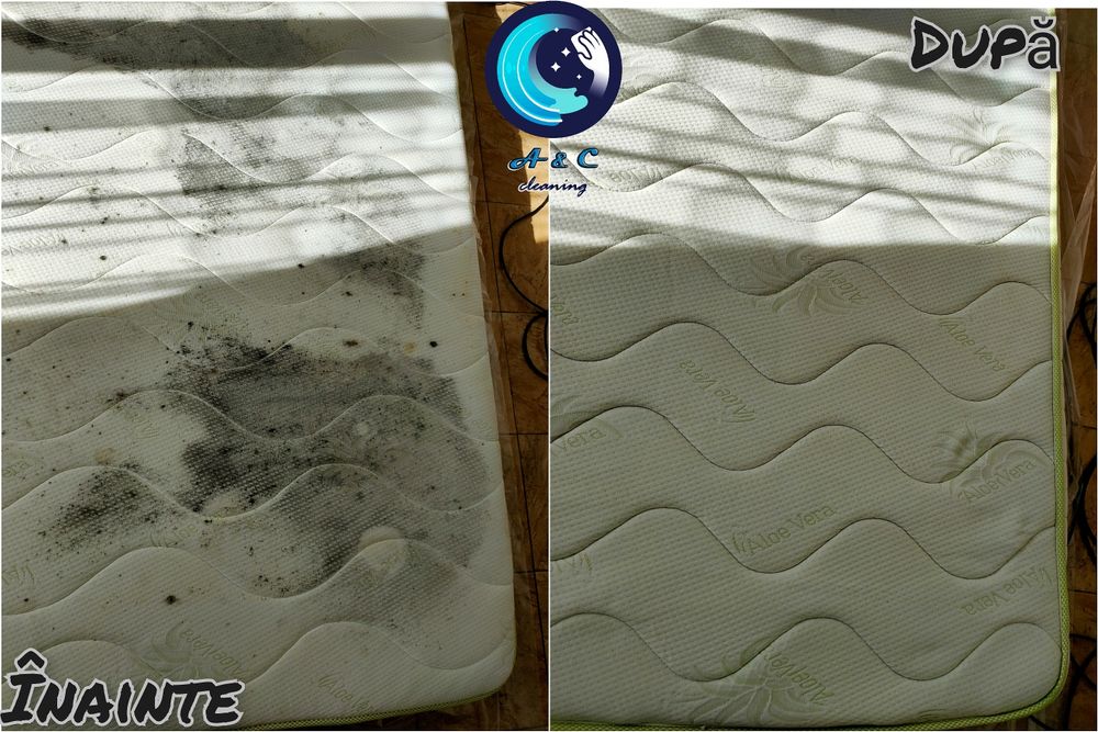 Curatare canapea, saltea, mocheta, scaun, covor, coltar, fotoliu