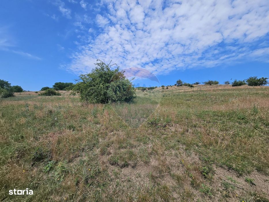 Teren extravilan de vanzare in Campenesti