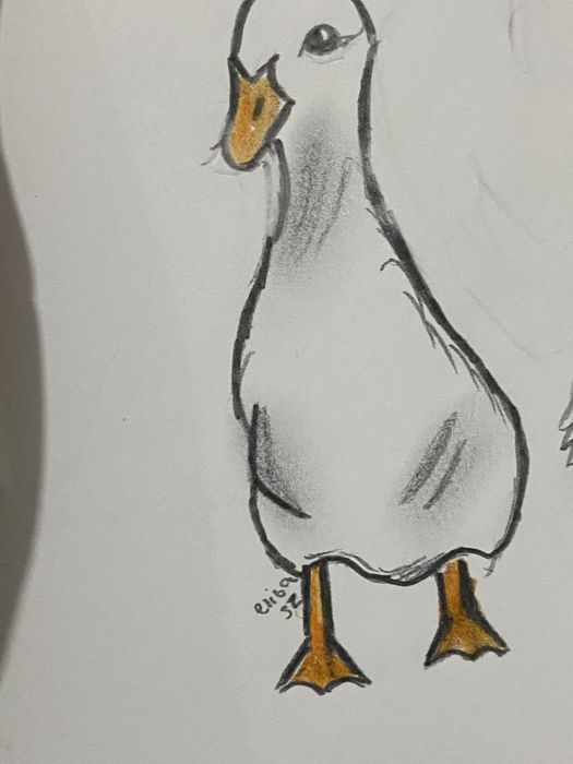 Рисую ващих питомцев!!