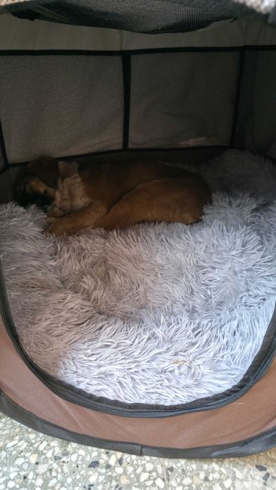 Момиче търси любов и дом