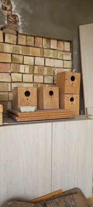 Клетка для птиц. Куш кафас.