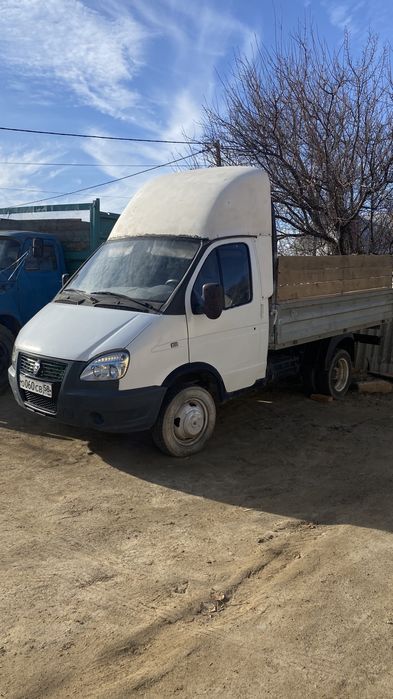 Газел Колиги Сатылады Орыс учт