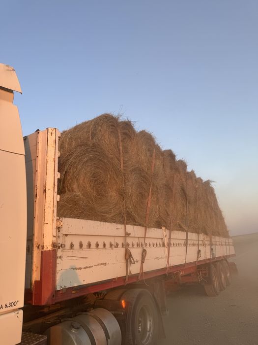 Продам сено разнотравье