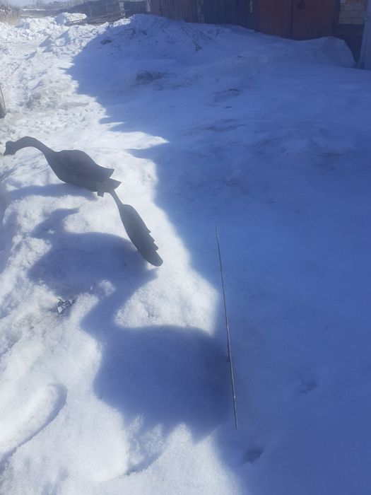 Продам профиля гусей