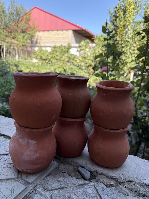 Куза каймок кузаси