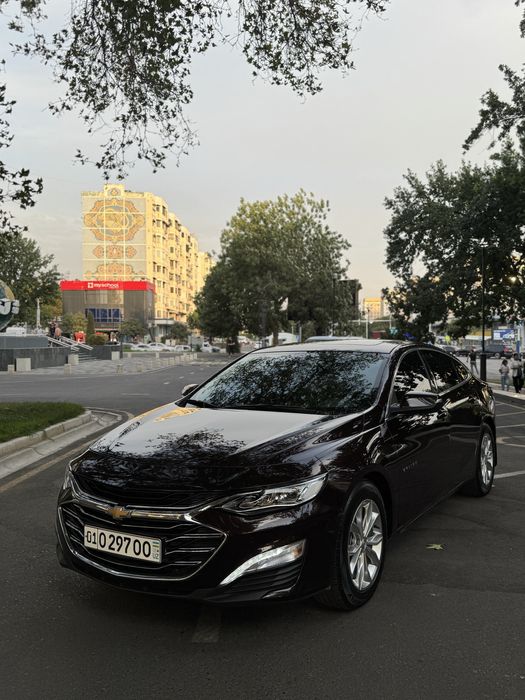 Malibu premier limited 2021