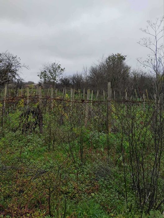 Продава се Къща в с. Белгун, Област Добрич - 80 кв.м за 70 €/кв.м - Снимка #3