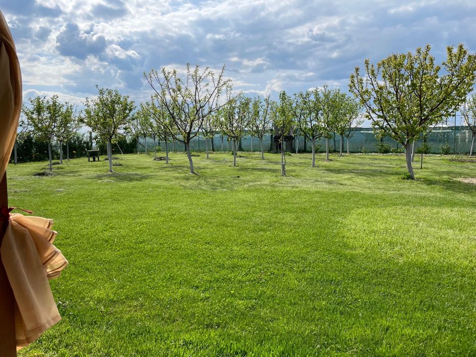 Cabana cu livada Alba Iulia