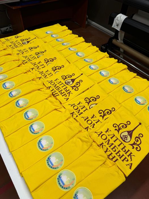 Брендирование одежды ! Принт одежды !