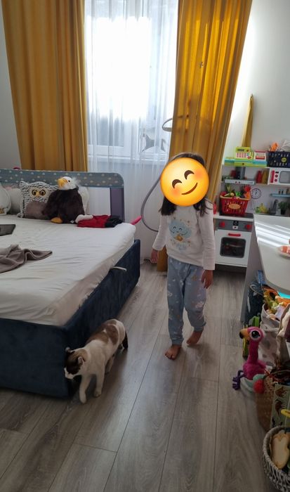 Protecție, balustrada, bara pat