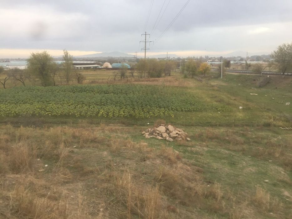 Сарагач Жер сатылад