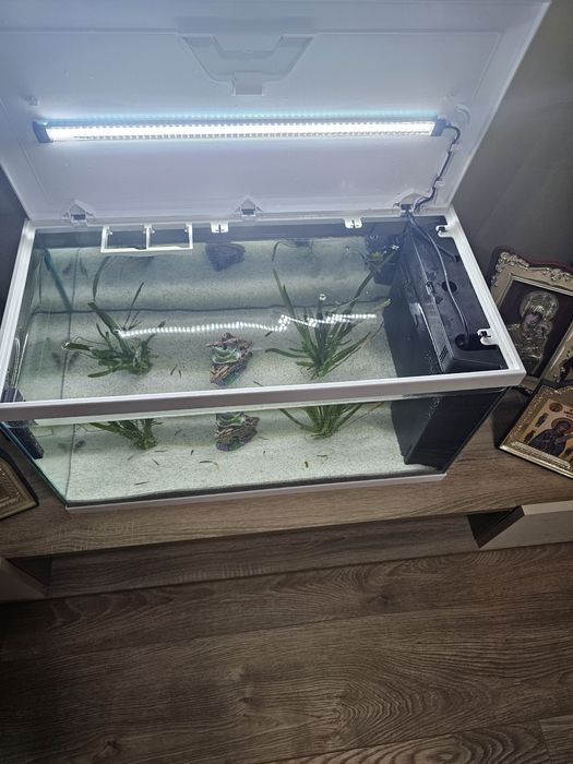 Acvariu 60 l cu capac