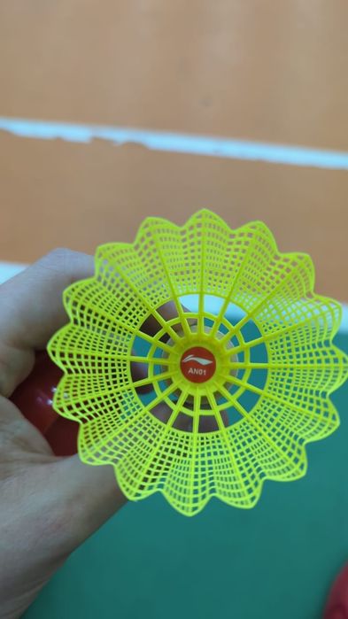 Бадминтон в Алматы