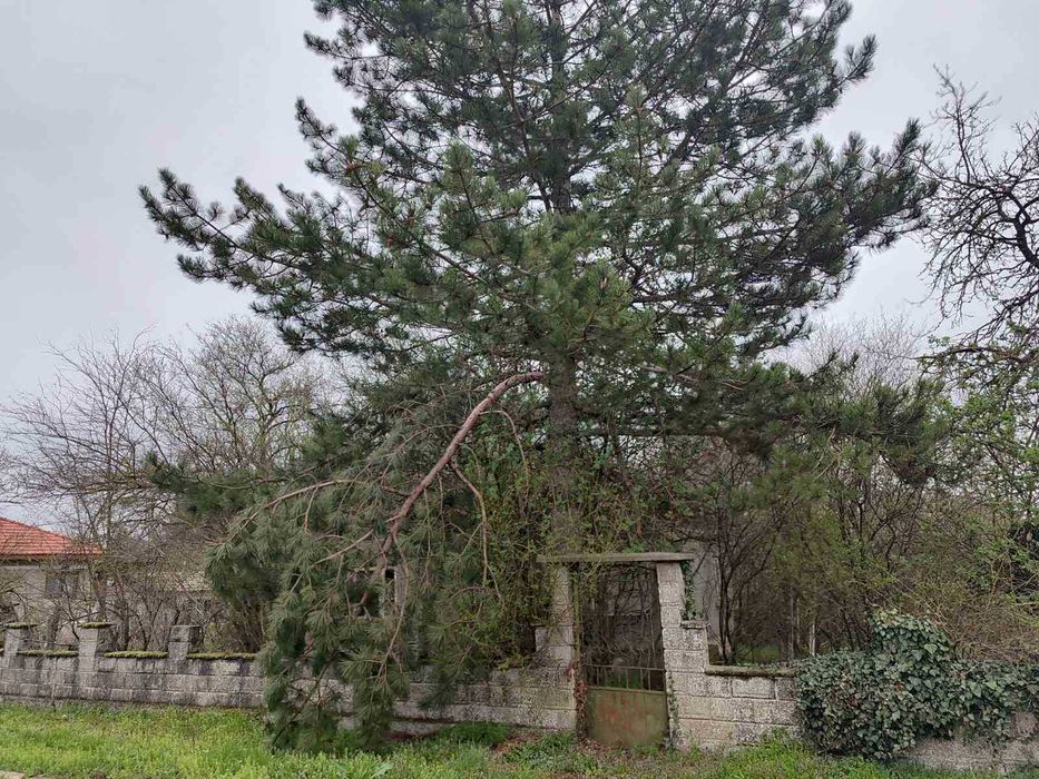 Стара къща в Змеево