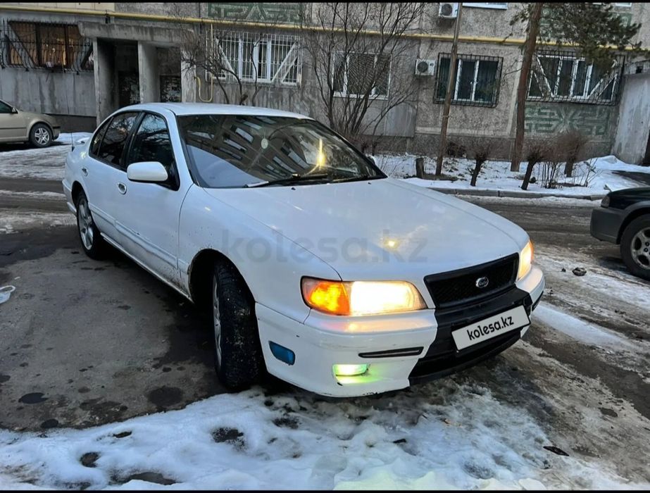 Продам  Лошадь Айгыр Жеребчик Тай