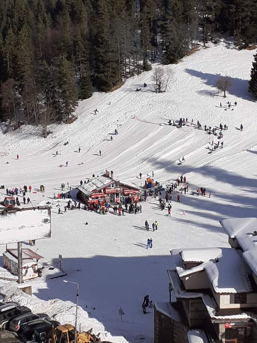 Пампорово, студио  за нощувки