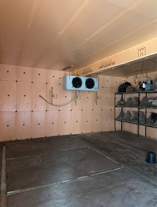 Сдается холодильник в аренду для груш и яблок