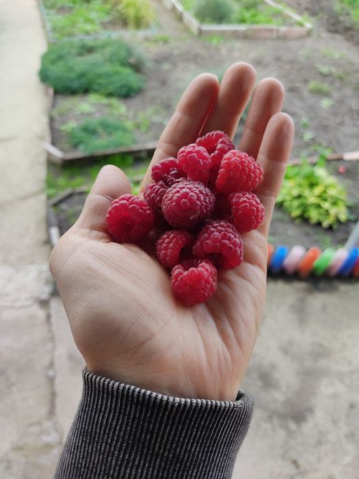 Продам Дачу за Куленовкой