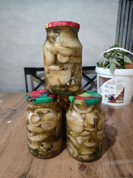 Грузди маринованные