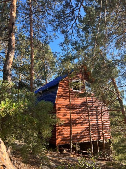 Сдам дома на Бухтарме, цены уточняйте