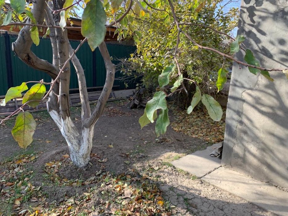 Продается дача в бозарыке. 6 соток……….