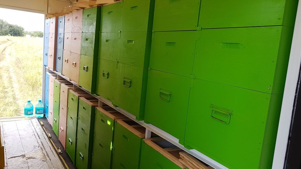 Pavilion apicol semiremorca