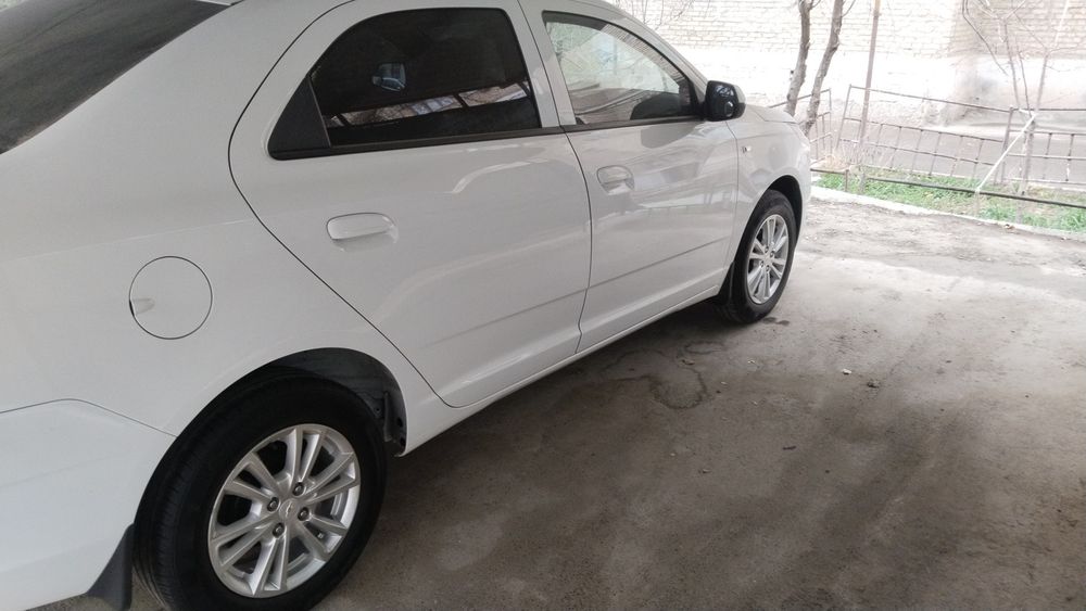 100 foiz garantiya radno y