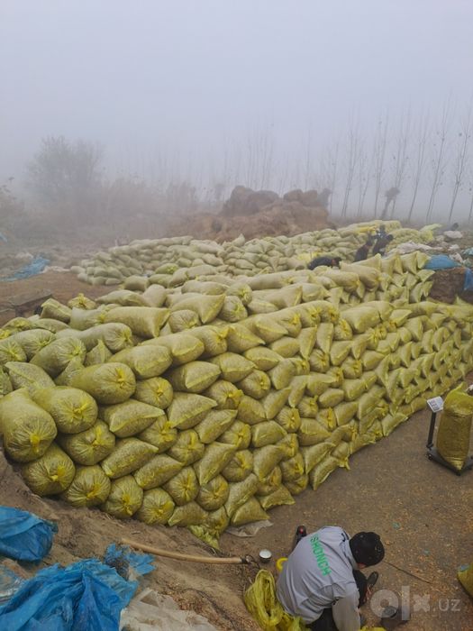 Donlik silos qoplangan 16 ming
