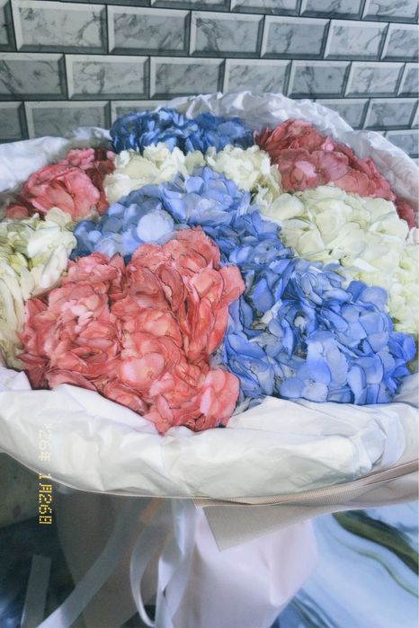 Гортензии 9штук