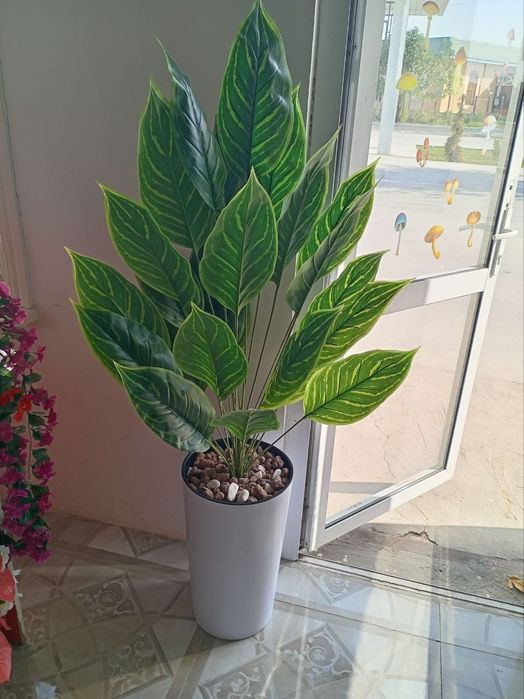 Нархлари 160 мингдан бошлаб. Декоратив суний гуллар. Ассортимент мавжу