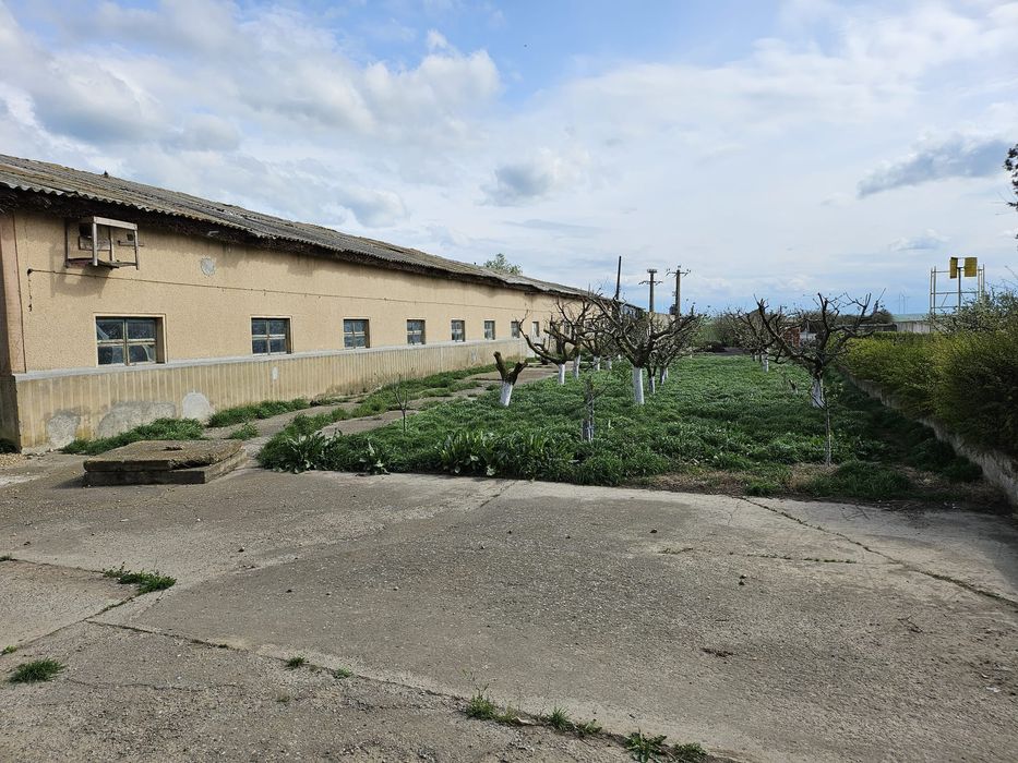 Ferma de vanzare sau la schimb cu teren arabil, imobiliare